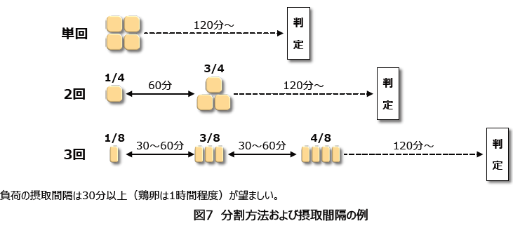 図7 分割方法および摂取間隔の例