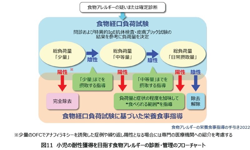 図11 小児の耐性獲得を目指す食物アレルギーの診断・管理のフローチャート